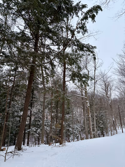 Parc national du Mont — photo 15