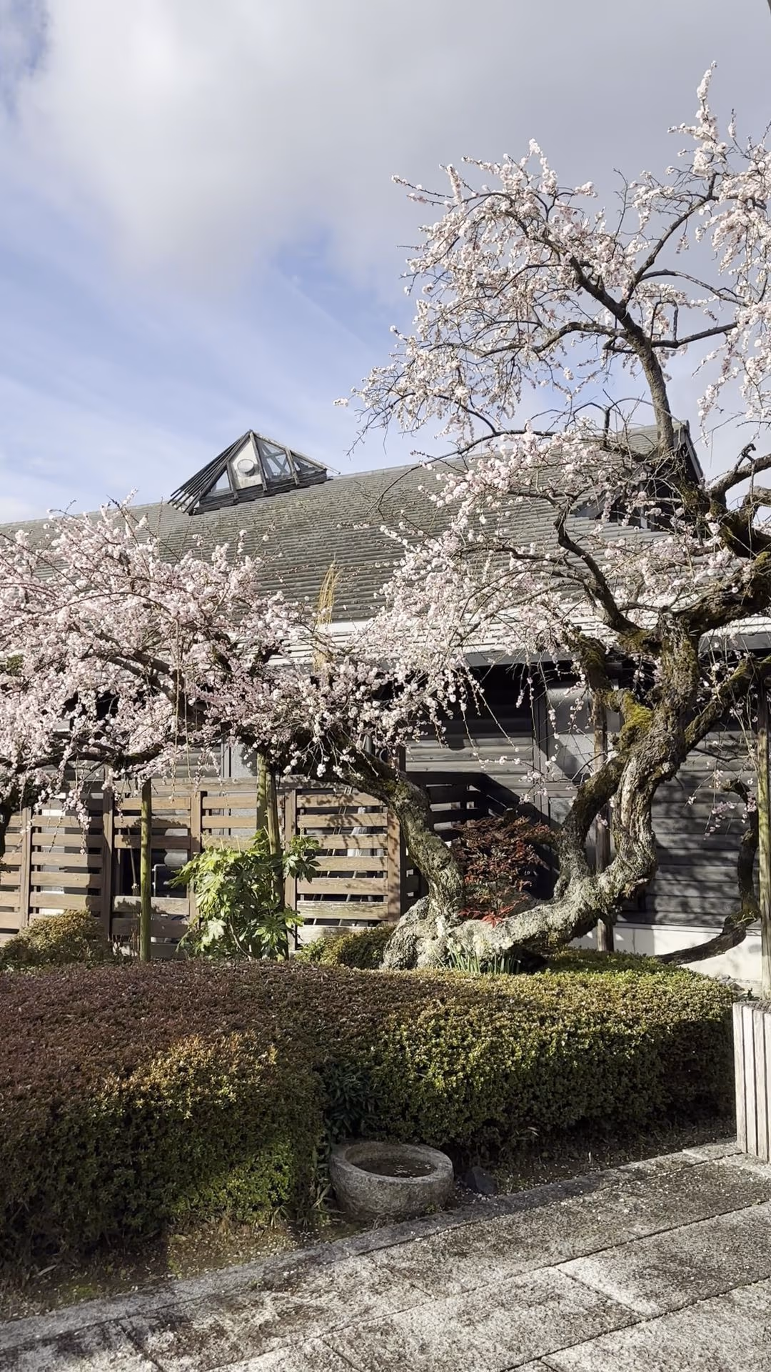 Katsuragionsen Happunoyu