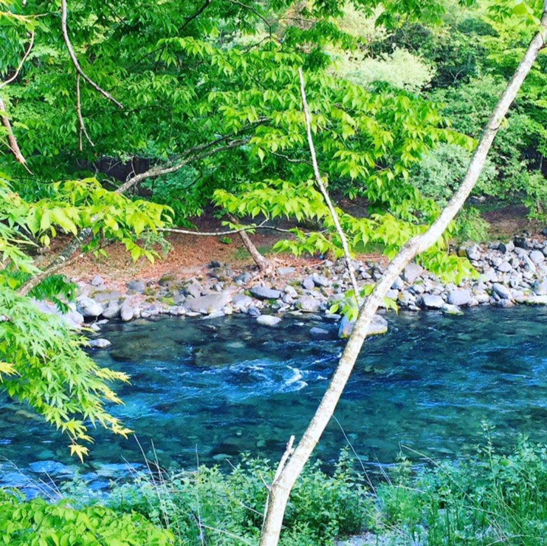 あしや温泉 足湯(無料)