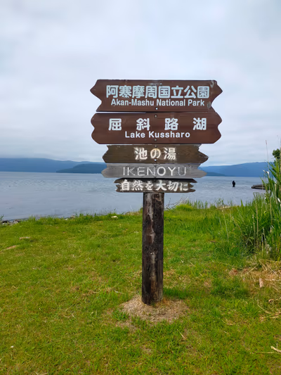 Ikeno — photo 14