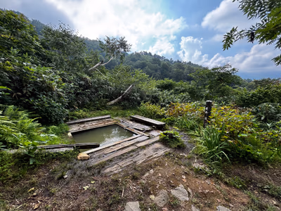 蓮華温泉露天風呂 — photo 14
