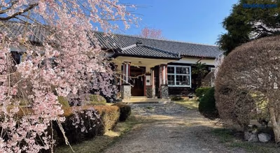 Yu — photo 26