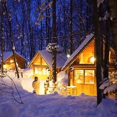 Shin Furano Prince Hotel