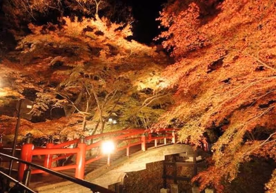 Ikaho Onsen Yokotekan — photo 11