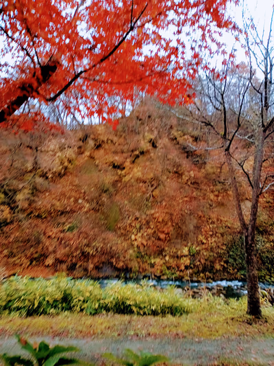 Semi Onsen — photo 19