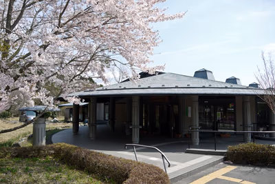 Fujisan anmo no yu — photo 05