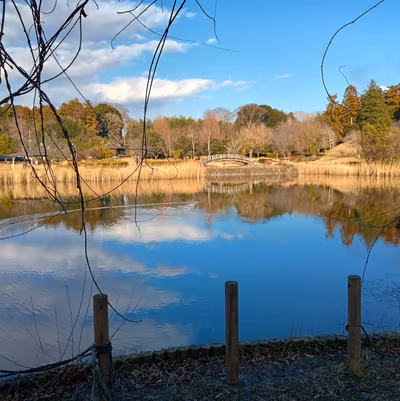 Seseragi Onsen — photo 07