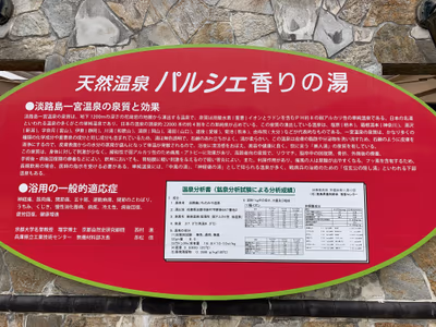 Parchez Hotel and Onsen — photo 17