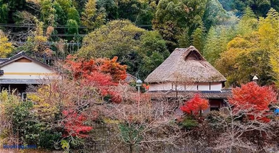 古湯温泉ONCRI — photo 21