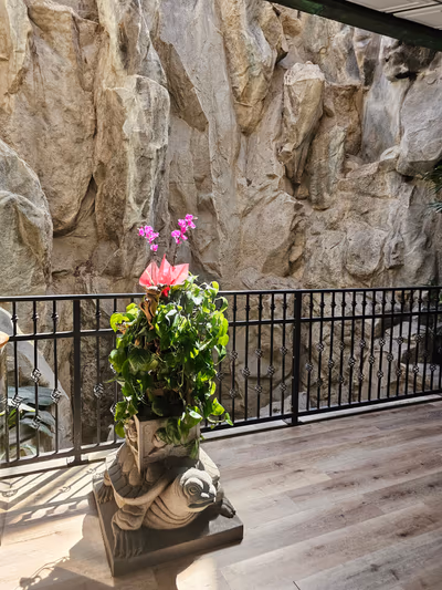 Beverly Hot Springs — photo 13