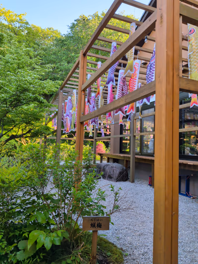 Mitsumine Onsen — photo 02