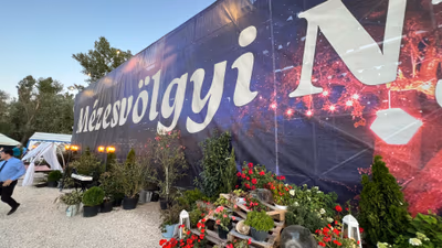 Veresegyházi Termálfürdő — photo 13