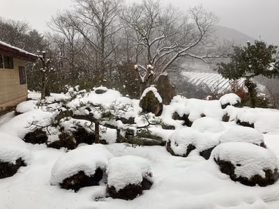 Shingo Hot Spring — photo 21