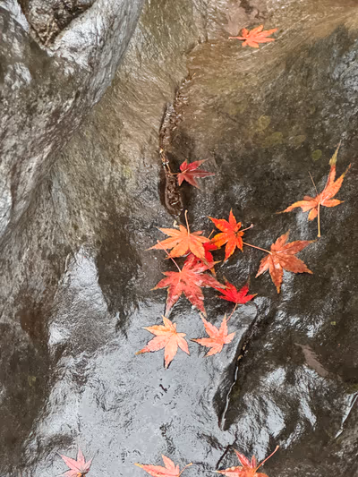 Gokuraku Onsen SACHINOYU Hot Spring — photo 16