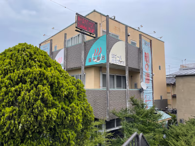 Hijirinone — photo 10