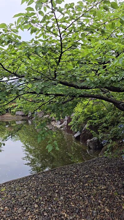 Shiratama no yu Kahou — photo 05