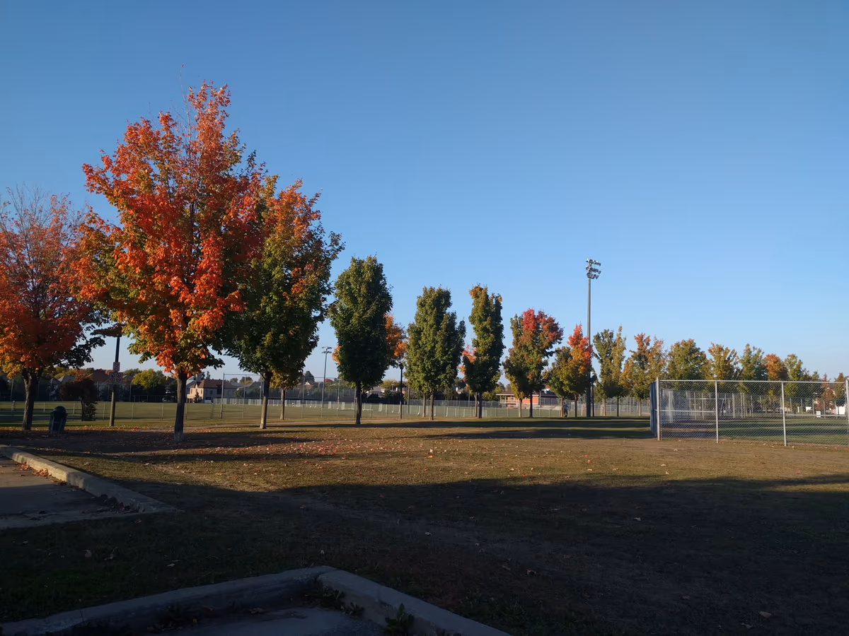 Edward Janiszewski Park