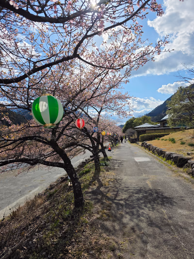 Toyamago Kagura no Yu — photo 11