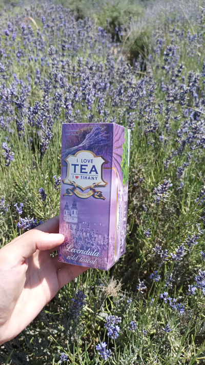 Lavender Field — photo 12