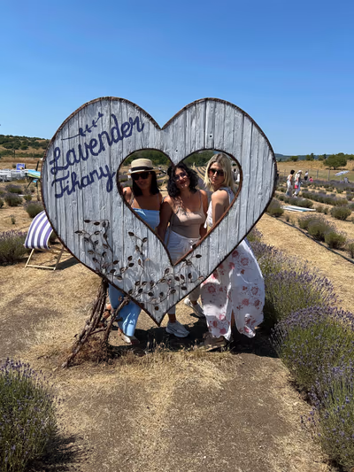 Lavender Field — photo 15