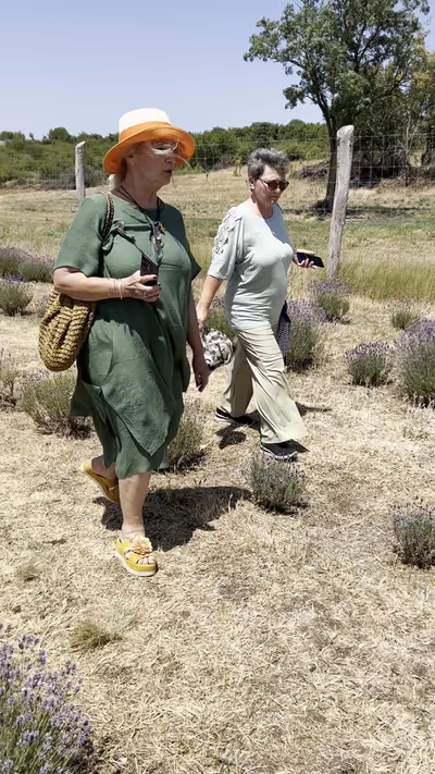 Lavender Field — photo 16