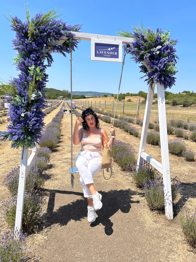 Lavender Field — photo 17