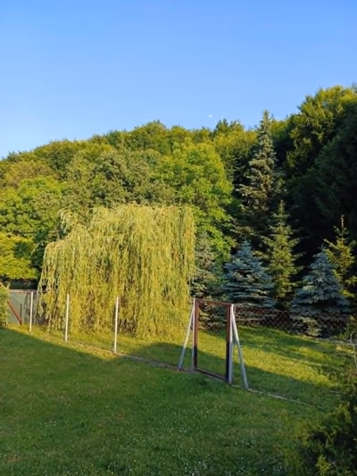 Relax Wellness Apartman — photo 16