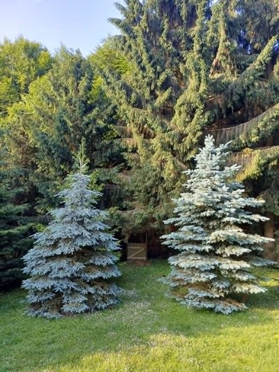 Relax Wellness Apartman — photo 19